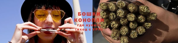 соль ск Бородино