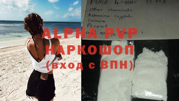 соль ск Бородино