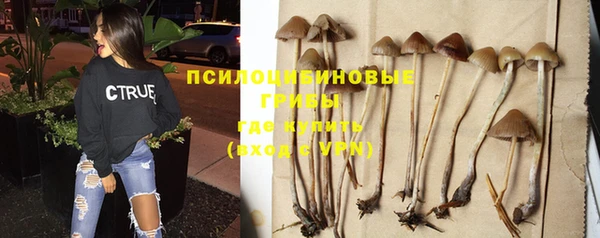 гидропоника Бугульма