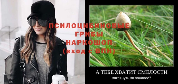 стаф Беломорск